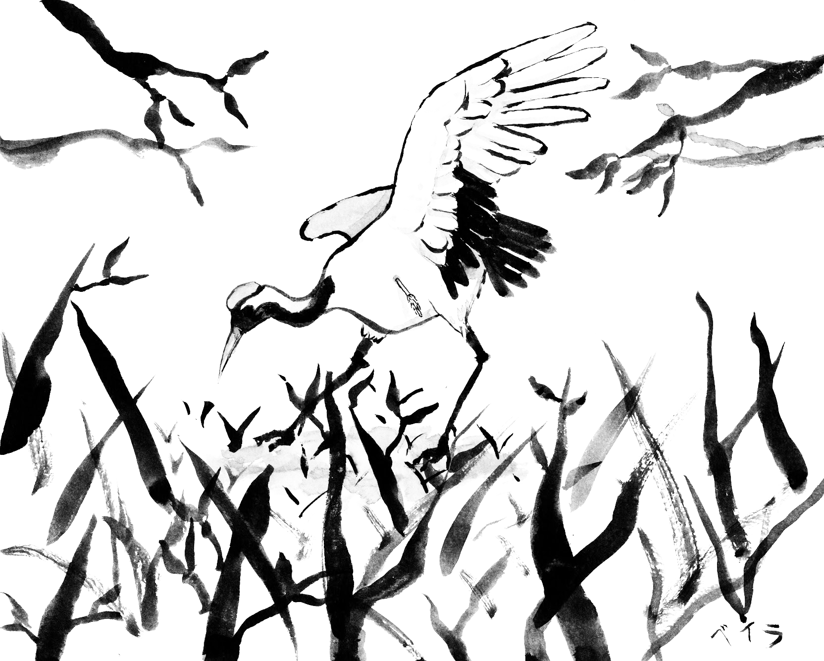Andrea Kamens - StoryTeller - Crane and Branches Illustration